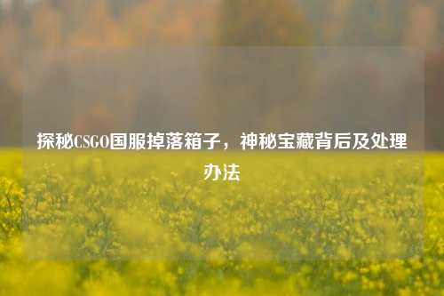探秘CSGO国服掉落箱子，神秘宝藏背后及处理办法