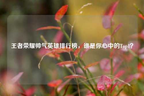 王者荣耀帅气英雄排行榜，谁是你心中的Top1？