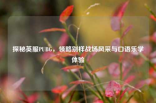 探秘英服PUBG，领略别样战场风采与口语乐学体验