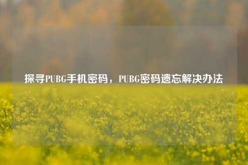 探寻PUBG手机密码，PUBG密码遗忘解决办法