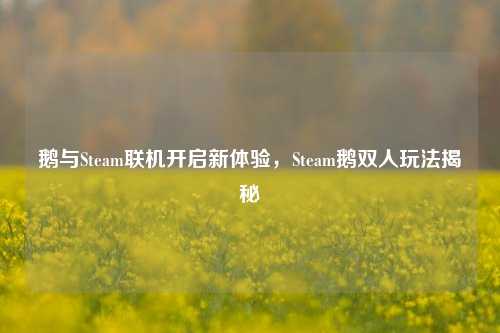 鹅与Steam联机开启新体验，Steam鹅双人玩法揭秘