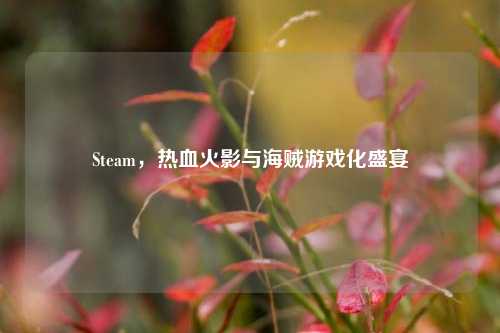 Steam，热血火影与海贼游戏化盛宴