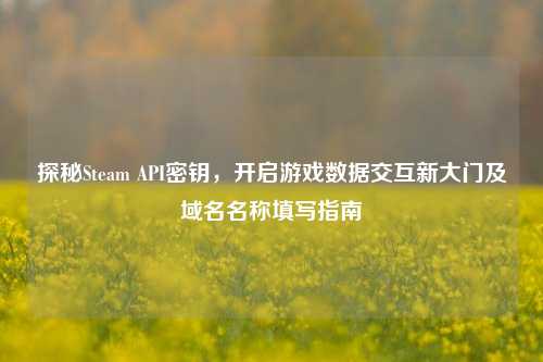 探秘Steam API密钥，开启游戏数据交互新大门及域名名称填写指南