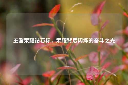 王者荣耀钻石标，荣耀背后闪烁的奋斗之光