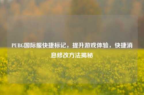 PUBG国际服快捷标记，提升游戏体验，快捷消息修改方法揭秘