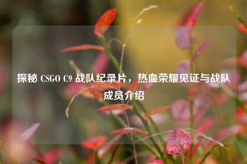 探秘 CSGO C9 战队纪录片，热血荣耀见证与战队成员介绍