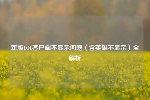 新版LOL客户端不显示问题（含英雄不显示）全解析