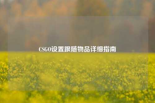 CSGO设置跟随物品详细指南