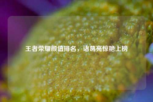 王者荣耀颜值排名，诸葛亮惊艳上榜