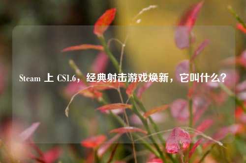 Steam 上 CS1.6，经典射击游戏焕新，它叫什么？