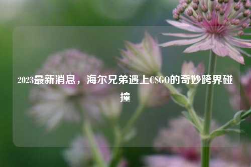 2023最新消息，海尔兄弟遇上CSGO的奇妙跨界碰撞
