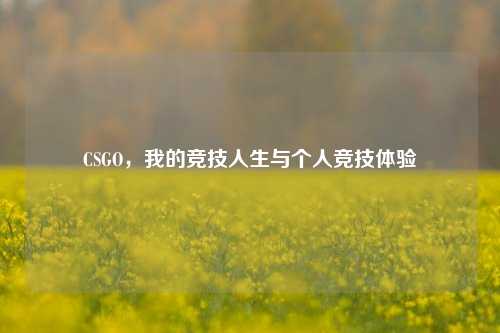 CSGO，我的竞技人生与个人竞技体验