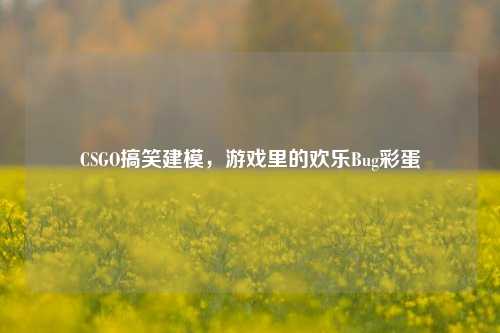 CSGO搞笑建模，游戏里的欢乐Bug彩蛋
