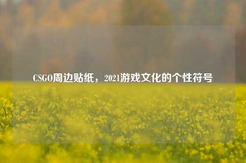 CSGO周边贴纸，2021游戏文化的个性符号