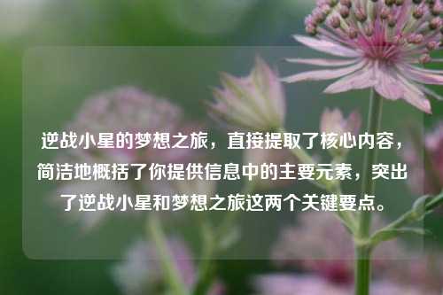 逆战小星的梦想之旅，直接提取了核心内容，简洁地概括了你提供信息中的主要元素，突出了逆战小星和梦想之旅这两个关键要点。