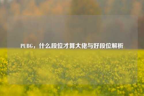 PUBG，什么段位才算大佬与好段位解析