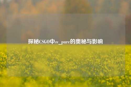 探秘CSGO中sv_pure的奥秘与影响