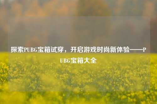 探索PUBG宝箱试穿，开启游戏时尚新体验——PUBG宝箱大全