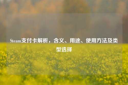 Steam支付卡解析，含义、用途、使用方法及类型选择
