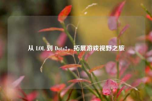 从 LOL 到 Dota2，拓展游戏视野之旅