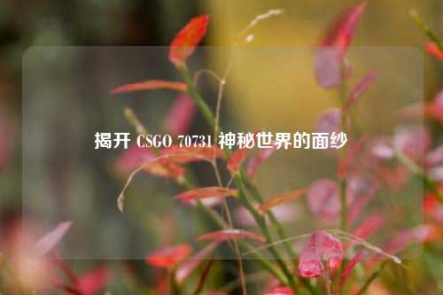 揭开 CSGO 70731 神秘世界的面纱
