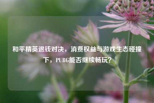 和平精英退钱对决，消费权益与游戏生态碰撞下，PUBG能否继续畅玩？