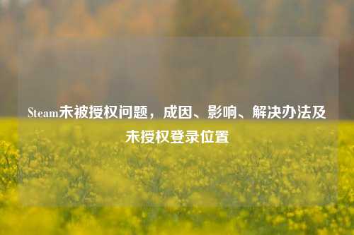 Steam未被授权问题，成因、影响、解决办法及未授权登录位置