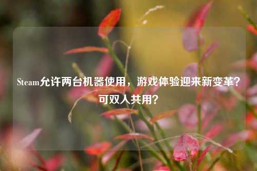 Steam允许两台机器使用，游戏体验迎来新变革？可双人共用？