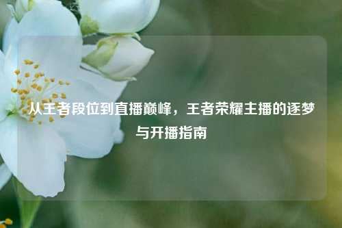 从王者段位到直播巅峰，王者荣耀主播的逐梦与开播指南