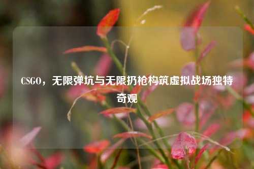 CSGO，无限弹坑与无限扔枪构筑虚拟战场独特奇观