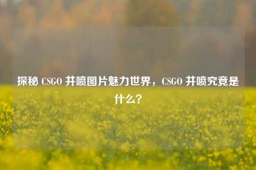 探秘 CSGO 井喷图片魅力世界，CSGO 井喷究竟是什么？