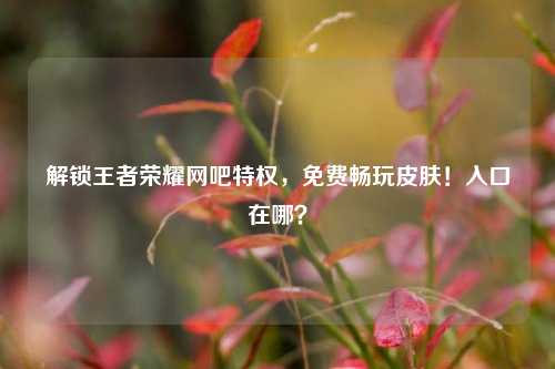 解锁王者荣耀网吧特权，免费畅玩皮肤！入口在哪？