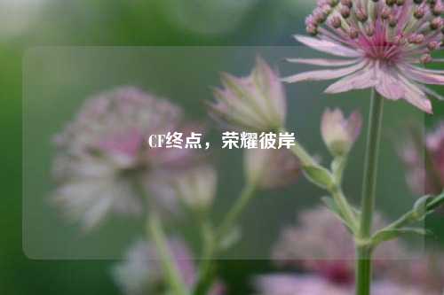 CF终点，荣耀彼岸