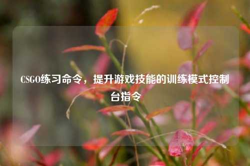 CSGO练习命令，提升游戏技能的训练模式控制台指令
