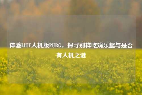 体验LITE人机版PUBG，探寻别样吃鸡乐趣与是否有人机之谜