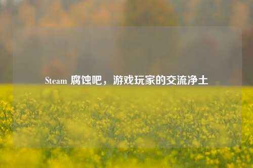 Steam 腐蚀吧，游戏玩家的交流净土