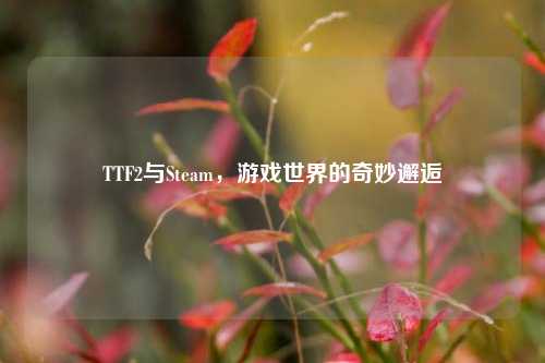 TTF2与Steam，游戏世界的奇妙邂逅