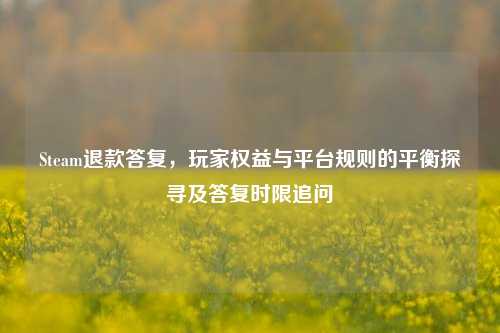 Steam退款答复，玩家权益与平台规则的平衡探寻及答复时限追问