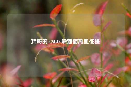 辉哥的 CSGO 躲猫猫热血征程