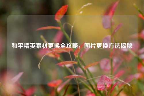 和平精英素材更换全攻略，图片更换方法揭秘
