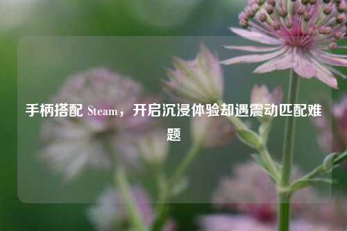 手柄搭配 Steam，开启沉浸体验却遇震动匹配难题