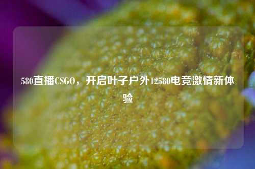 580直播CSGO，开启叶子户外12580电竞激情新体验
