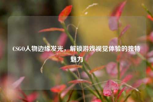 CSGO人物边缘发光，解锁游戏视觉体验的独特魅力