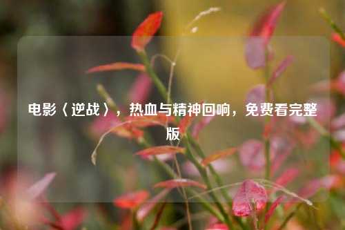 电影〈逆战〉，热血与精神回响，免费看完整版