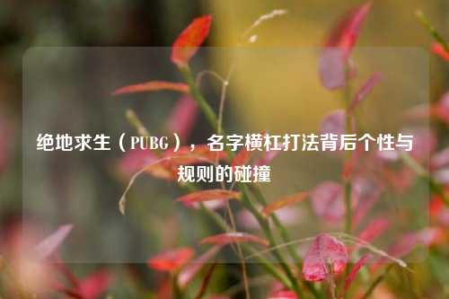 绝地求生（PUBG），名字横杠打法背后个性与规则的碰撞