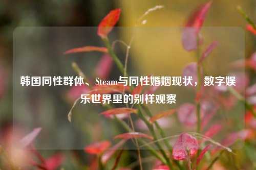 韩国同性群体、Steam与同性婚姻现状，数字娱乐世界里的别样观察