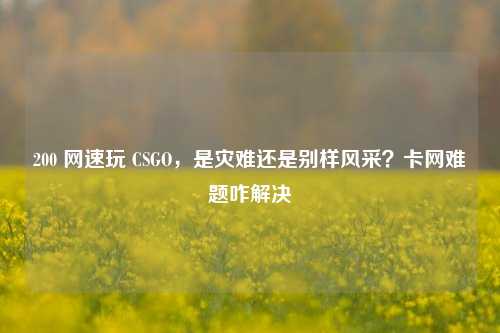 200 网速玩 CSGO，是灾难还是别样风采？卡网难题咋解决