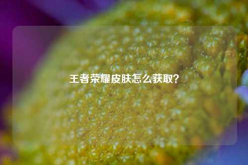 王者荣耀皮肤怎么获取？
