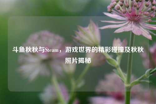 斗鱼秋秋与Steam，游戏世界的精彩碰撞及秋秋照片揭秘