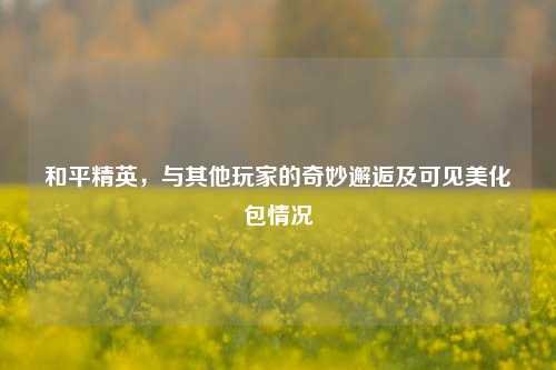 和平精英，与其他玩家的奇妙邂逅及可见美化包情况